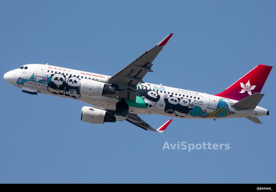 B-LPP